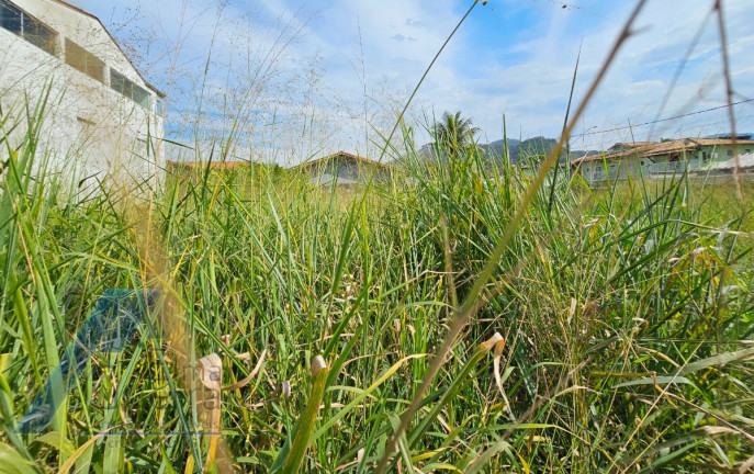 Imagem Terreno à Venda, 750 m² em Praia Grande - Ubatuba