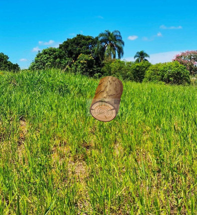 Imagem Terreno à Venda, 1 m² em Pilar Do Sul Imagem Terreno à Venda, 1 m² em Pilar Do Sul