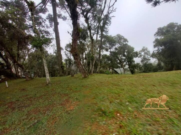 Imagem Terreno em Condomínio à Venda, 1.000 m² em Alto Boa Vista - Campos Do Jordão Imagem Terreno em Condomínio à Venda, 1.000 m² em Alto Boa Vista - Campos Do Jordão