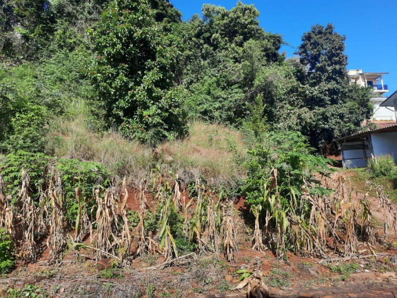 Imagem Terreno à Venda, 450 m² em Itaíba - Concórdia Imagem Terreno à Venda, 450 m² em Itaíba - Concórdia