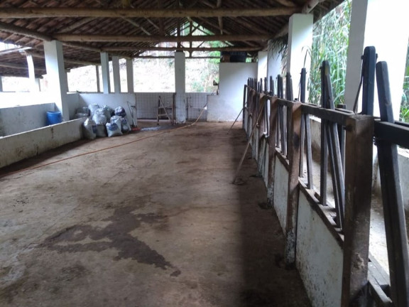 Imagem Fazenda à Venda, 600 m² em Lagoa - Paraibuna