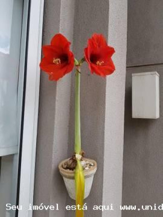 Imagem Apartamento com 2 Quartos à Venda, 86 m² em Vila Suzana - São Paulo