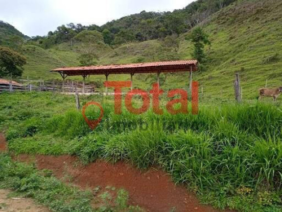 Imagem Chácara com 3 Quartos à Venda, 280 m² em Sn - São Domingos Do Prata