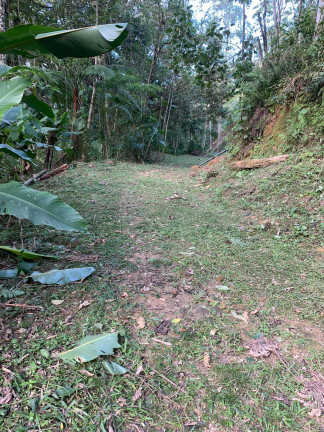Imagem Chácara à Venda, 126.000 m² em Centro (rio Rosinha) - Rio Dos Cedros