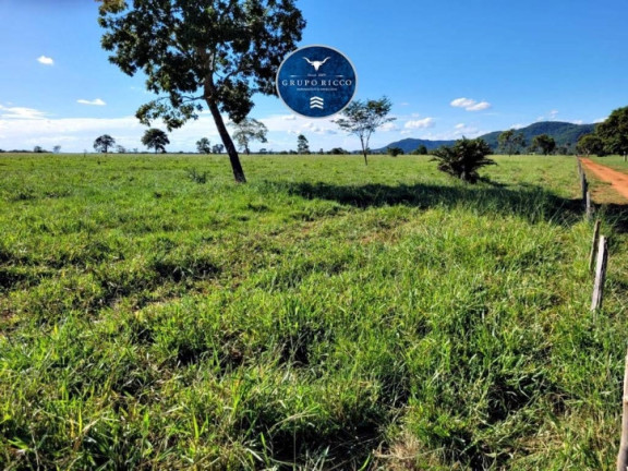 Imagem Fazenda à Venda, 68 m² em Zona Rural - Jussara Imagem Fazenda à Venda, 68 m² em Zona Rural - Jussara