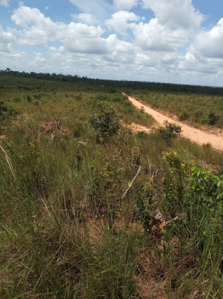 Imagem Imóvel à Venda,  em Colinas Do Tocantins/to - Colinas Do Tocantins