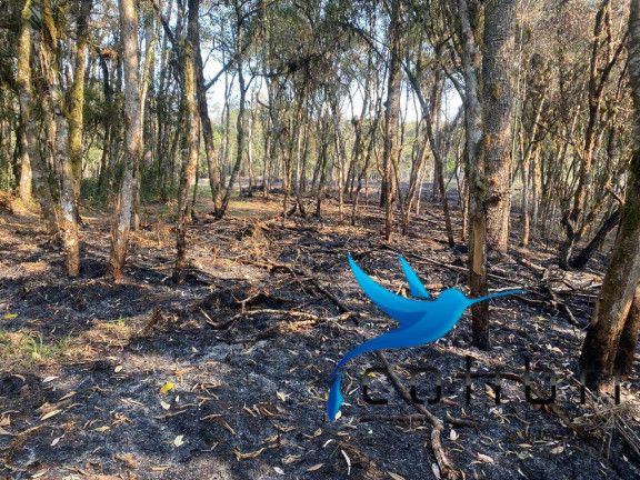 Imagem Terreno à Venda, 2.141 m² em Leão - Agudos Do Sul Imagem Terreno à Venda, 2.141 m² em Leão - Agudos Do Sul