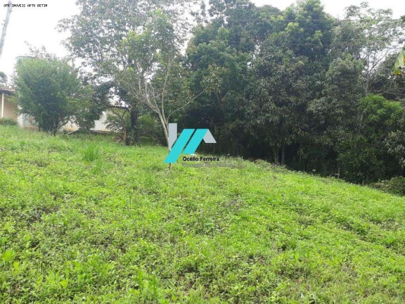Imagem Fazenda à Venda, 7.000 m² em Caio Martins - Esmeraldas Imagem Fazenda à Venda, 7.000 m² em Caio Martins - Esmeraldas