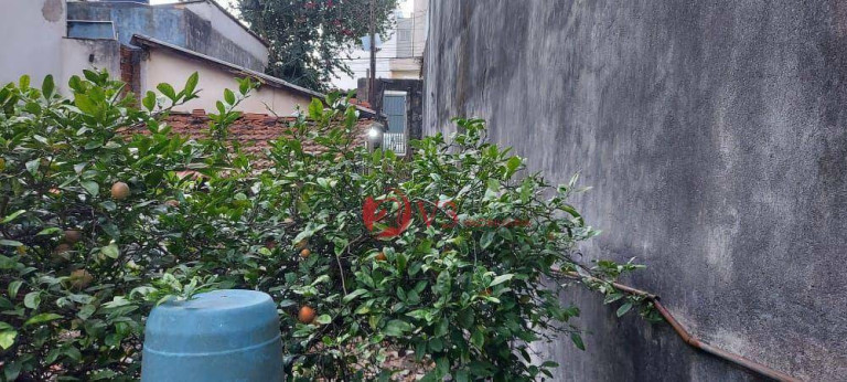Imagem Terreno à Venda, 150 m² em Cidade Patriarca - São Paulo Imagem Terreno à Venda, 150 m² em Cidade Patriarca - São Paulo