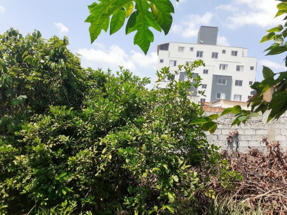 Imagem Casa com 2 Quartos à Venda, 60 m² em Novo Riacho - Contagem Imagem Casa com 2 Quartos à Venda, 60 m² em Novo Riacho - Contagem