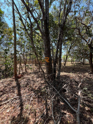 Imagem Terreno à Venda, 1 m² em Condomínio Veredas Da Lagoa - Lagoa Santa Imagem Terreno à Venda, 1 m² em Condomínio Veredas Da Lagoa - Lagoa Santa