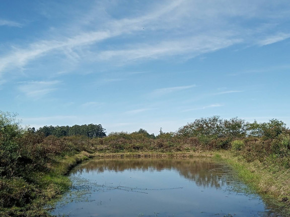 Imagem Chácara com 2 Quartos à Venda, 20.000 m² em águas Claras - Viamão