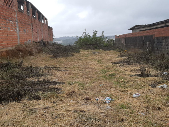 Imagem Terreno à Venda, 250 m² em Jardim São Miguel - Cotia