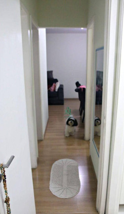 Imagem Apartamento com 3 Quartos à Venda, 65 m² em Gopoúva - Guarulhos Imagem Apartamento com 3 Quartos à Venda, 65 m² em Gopoúva - Guarulhos