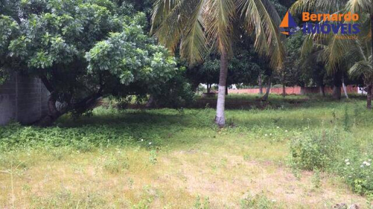 Imagem Chácara com 3 Quartos à Venda, 9 m² em Tijucussú - Cascavel Imagem Chácara com 3 Quartos à Venda, 9 m² em Tijucussú - Cascavel