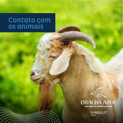 Imagem Terreno à Venda, 600 m² em Distrito Rio Do Meio - Camboriú Imagem Terreno à Venda, 600 m² em Distrito Rio Do Meio - Camboriú