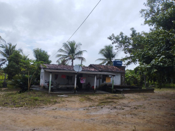 Imagem Chácara com 3 Quartos à Venda, 6.000 m² em Conde Imagem Chácara com 3 Quartos à Venda, 6.000 m² em Conde