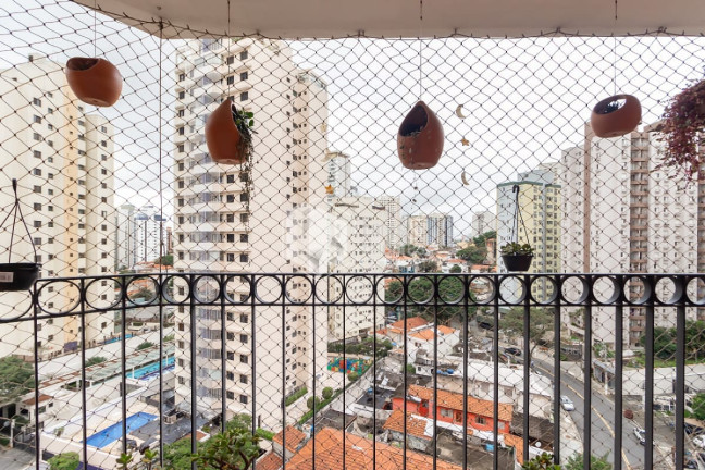 Imagem Apartamento com 3 Quartos à Venda, 73 m² em Chácara Inglesa - São Paulo Imagem Apartamento com 3 Quartos à Venda, 73 m² em Chácara Inglesa - São Paulo