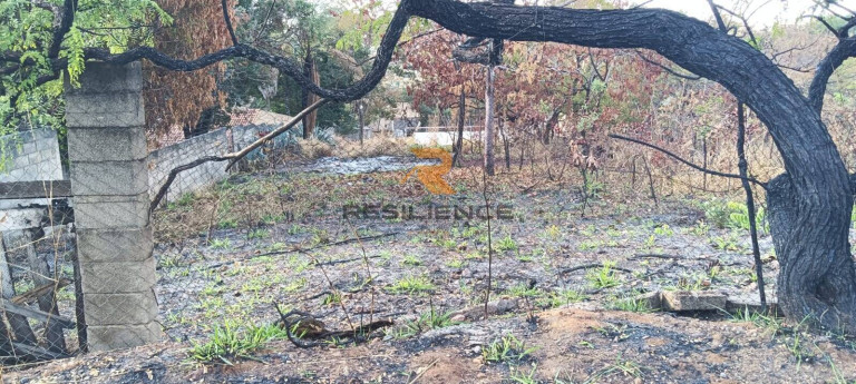Imagem Terreno à Venda, 1 m² em Recanto Da Lagoa - Lagoa Santa Imagem Terreno à Venda, 1 m² em Recanto Da Lagoa - Lagoa Santa