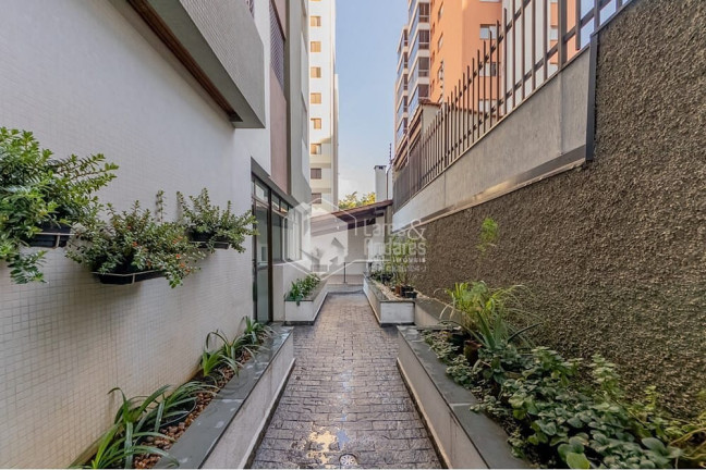 Imagem Apartamento com 3 Quartos à Venda, 84 m² em Vila Monte Alegre - São Paulo Imagem Apartamento com 3 Quartos à Venda, 84 m² em Vila Monte Alegre - São Paulo