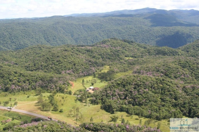 Imagem Chácara com 3 Quartos à Venda, 1.000 m² em Pirabeiraba (pirabeiraba) - Joinville