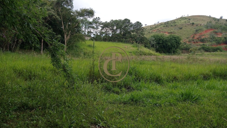 Imagem Chácara com 3 Quartos à Venda, 80.000 m² em Buquirinha - São José Dos Campos Imagem Chácara com 3 Quartos à Venda, 80.000 m² em Buquirinha - São José Dos Campos