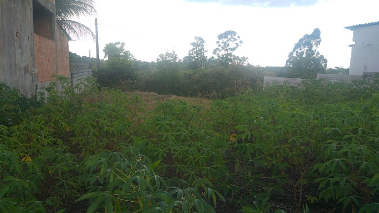 Imagem Imóvel à Venda, 300 m² em Santa Cruz - Aracruz