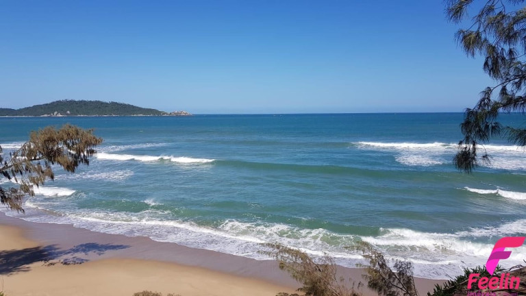 Imagem Chácara com 16 Quartos à Venda, 590 m² em Rio Tavares - Florianópolis Imagem Chácara com 16 Quartos à Venda, 590 m² em Rio Tavares - Florianópolis
