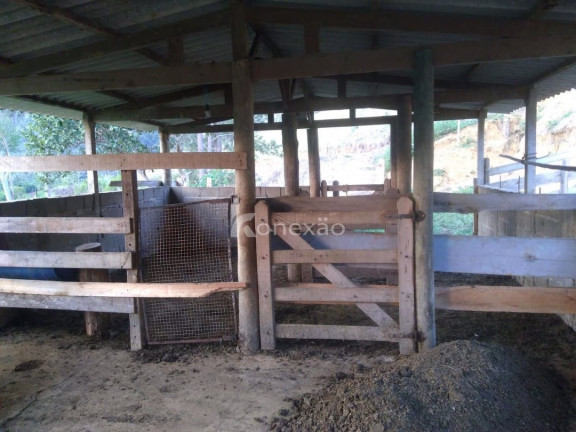 Imagem Chácara com 2 Quartos à Venda, 100 m² em Zona Rural - São Luíz Do Paraitinga Imagem Chácara com 2 Quartos à Venda, 100 m² em Zona Rural - São Luíz Do Paraitinga