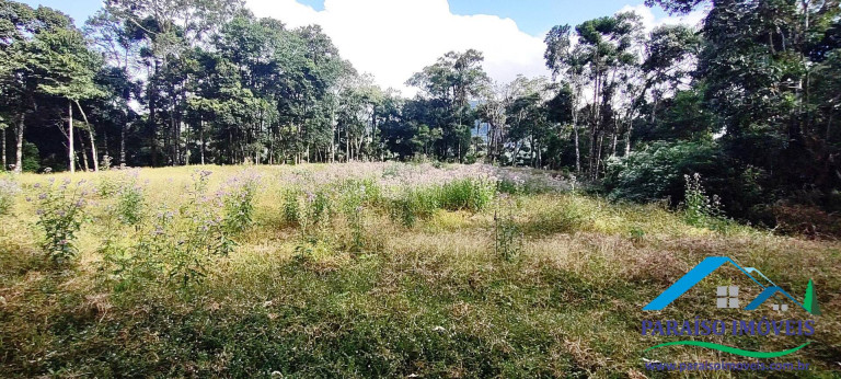 Chácara à Venda, 81 m² em Centro - Gonçalves