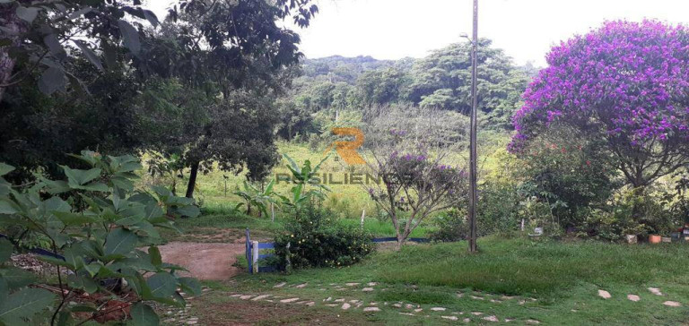 Imagem Casa à Venda, 300.000 m² em Jequitibá Imagem Casa à Venda, 300.000 m² em Jequitibá