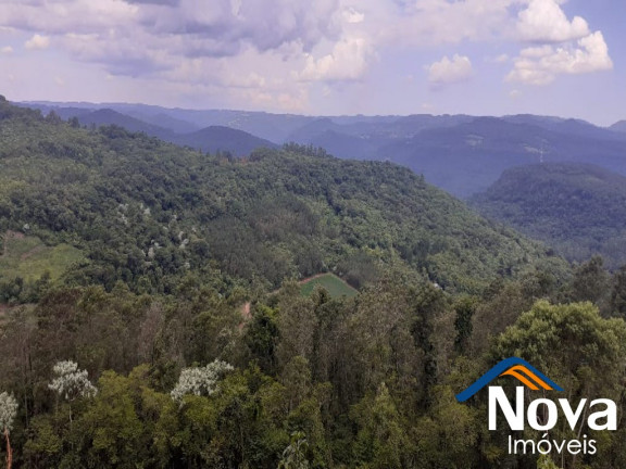 Imagem Imóvel à Venda, em Linha Olinda - Nova Petrópolis Imagem Imóvel à Venda, em Linha Olinda - Nova Petrópolis