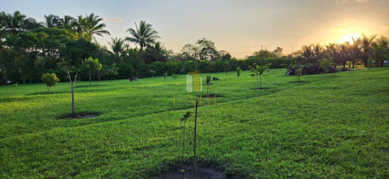 Imagem Chácara com 2 Quartos à Venda, 14.600 m² em Povoado - Pedras De Fogo Imagem Chácara com 2 Quartos à Venda, 14.600 m² em Povoado - Pedras De Fogo