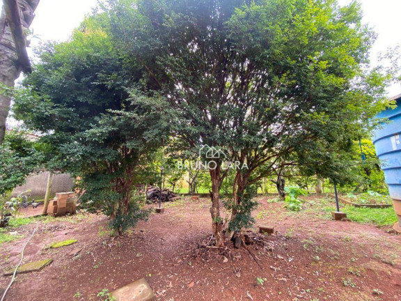 Imagem Fazenda à Venda, 500 m² em Vivendas Santa Mônica - Igarapé Imagem Fazenda à Venda, 500 m² em Vivendas Santa Mônica - Igarapé