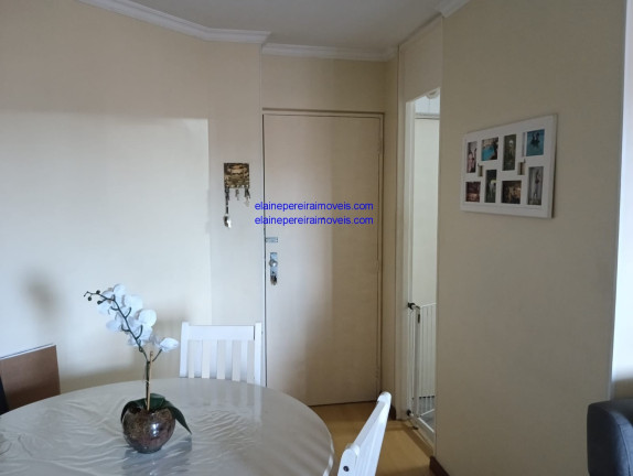 Imagem Apartamento com 2 Quartos à Venda, 55 m² em Jardim Olympia - São Paulo Imagem Apartamento com 2 Quartos à Venda, 55 m² em Jardim Olympia - São Paulo