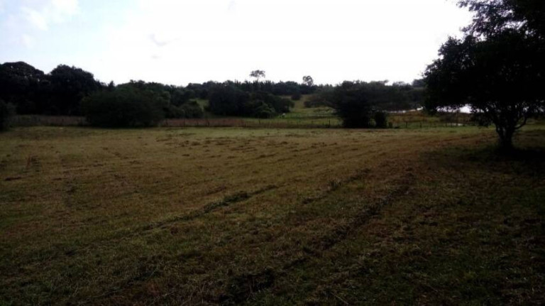 Imagem Chácara à Venda, 5.536 m² em águas Claras - Viamão