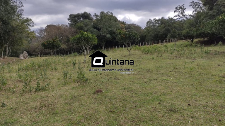 Imagem Imóvel com 4 Quartos à Venda, 80.000 m² em Colônia Santa Maria - Pelotas Imagem Imóvel com 4 Quartos à Venda, 80.000 m² em Colônia Santa Maria - Pelotas
