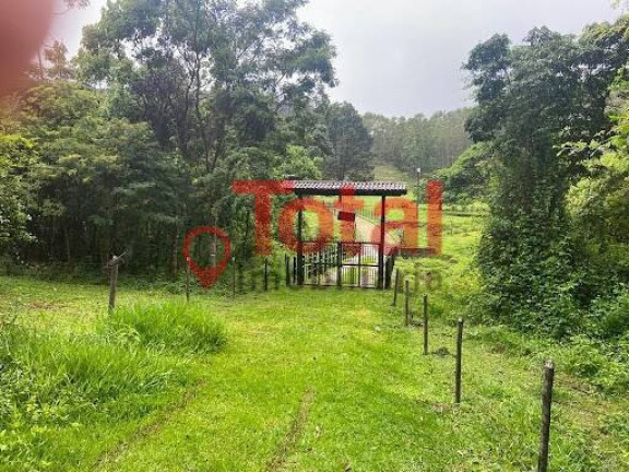 Imagem Chácara com 4 Quartos à Venda, 64.000 m² em Zona Rural - Antônio Dias Imagem Chácara com 4 Quartos à Venda, 64.000 m² em Zona Rural - Antônio Dias
