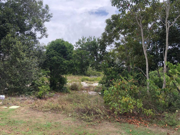 Imagem Terreno à Venda, 700 m² em Praia Do Forte - Mata De São João