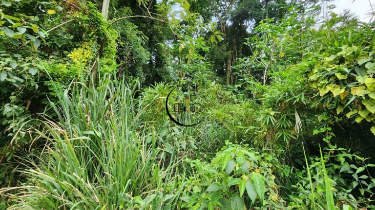 Imagem Imóvel à Venda, 7.870 m² em Chácaras Do Guacuri - Itupeva