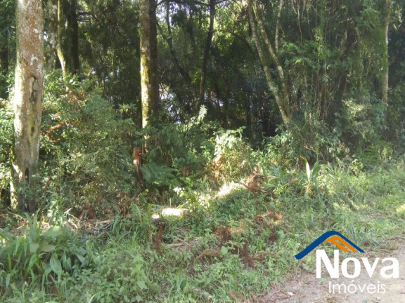 Imagem Imóvel à Venda, em Nove Colônias - Nova Petrópolis Imagem Imóvel à Venda, em Nove Colônias - Nova Petrópolis