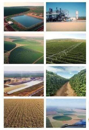 Imagem Chácara à Venda, em Zona Rural - Buritizeiro Imagem Chácara à Venda, em Zona Rural - Buritizeiro