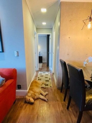Imagem Apartamento com 2 Quartos à Venda, 64 m² em Vila Leopoldina - São Paulo
