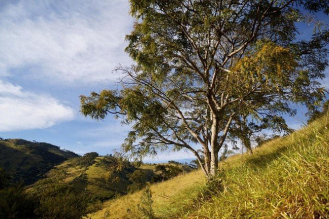 Imagem Fazenda à Venda, 170 m² em Cunha