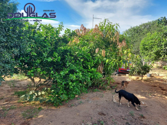 Imagem Casa com 4 Quartos à Venda, 475 m² em águas Claras - Viamão
