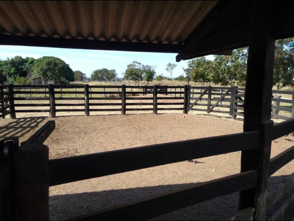 Imagem Fazenda à Venda, 411 m² em Nobres Imagem Fazenda à Venda, 411 m² em Nobres