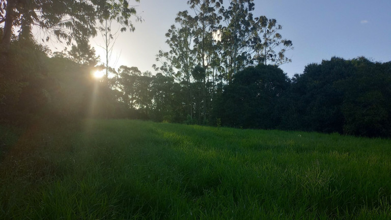 Imagem Imóvel com 2 Quartos à Venda, 28.600 m² em Passo Da Areia - Viamão Imagem Imóvel com 2 Quartos à Venda, 28.600 m² em Passo Da Areia - Viamão