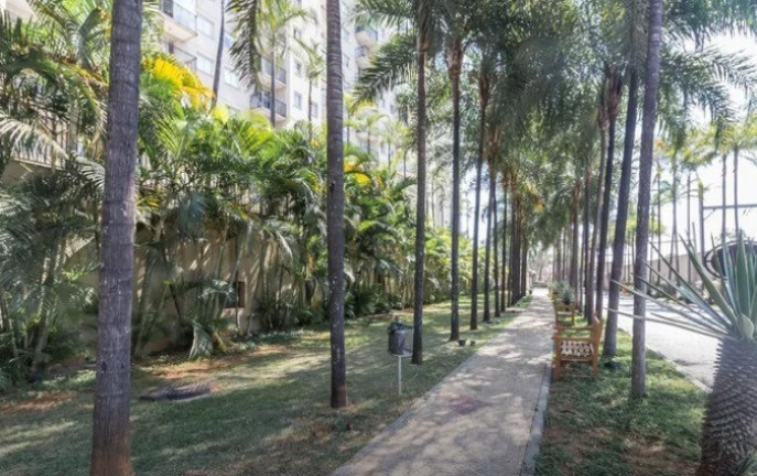 Imagem Apartamento com 2 Quartos à Venda, 60 m² em água Branca - São Paulo