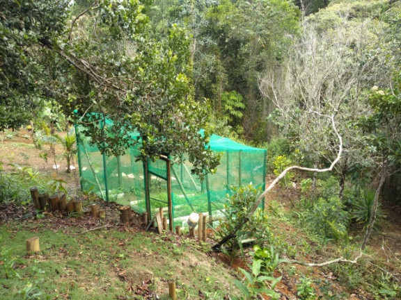 Imagem Imóvel com 2 Quartos para Temporada, em Serra Grande - Uruçuca Imagem Imóvel com 2 Quartos para Temporada, em Serra Grande - Uruçuca
