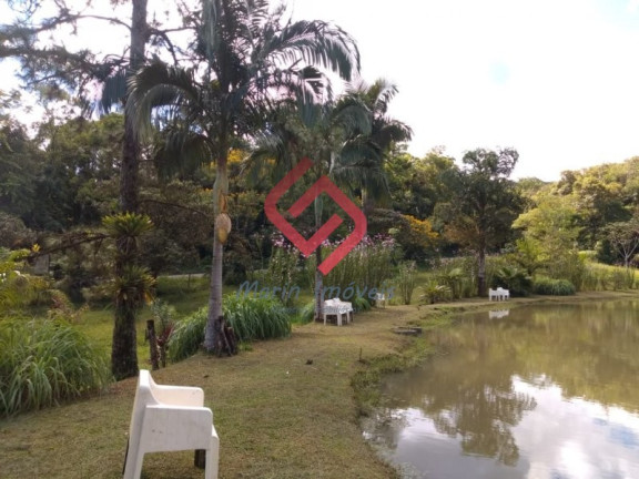 Imagem Imóvel com 3 Quartos à Venda, 500 m² em Cabeça Da Anta - Tapiraí Imagem Imóvel com 3 Quartos à Venda, 500 m² em Cabeça Da Anta - Tapiraí